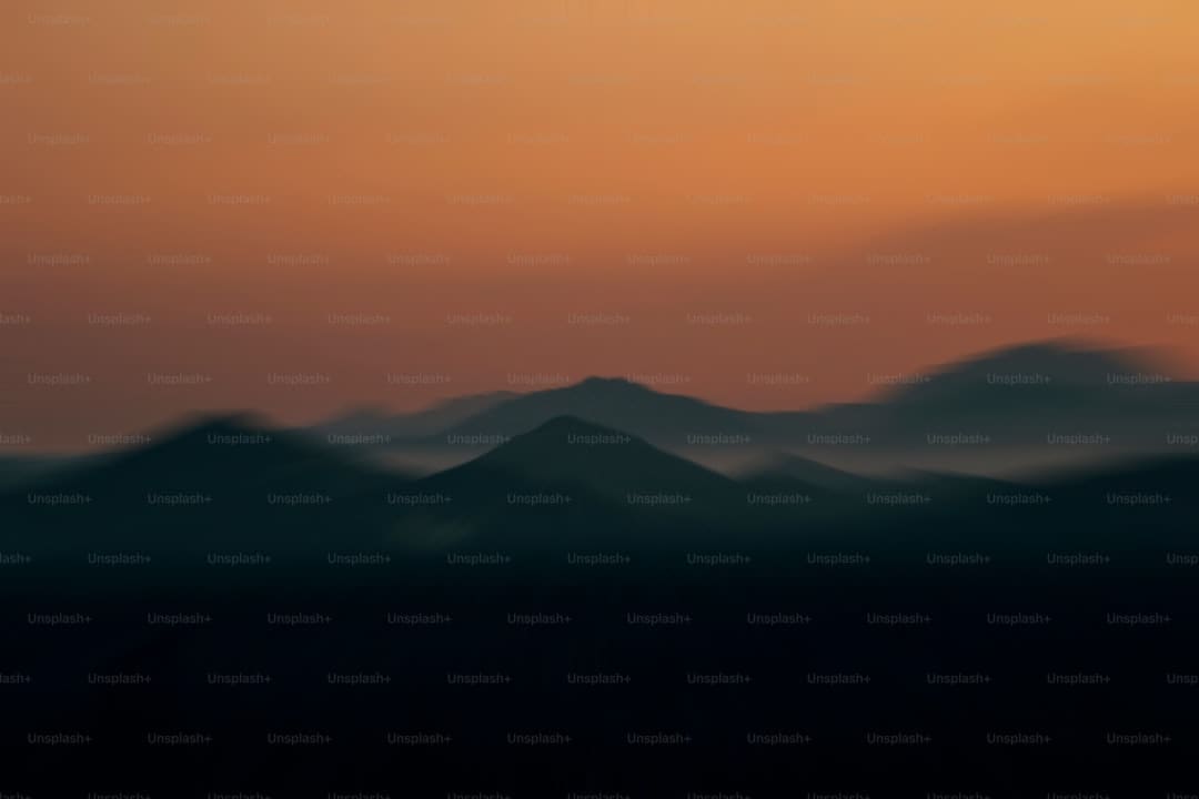 男明星是什么梗